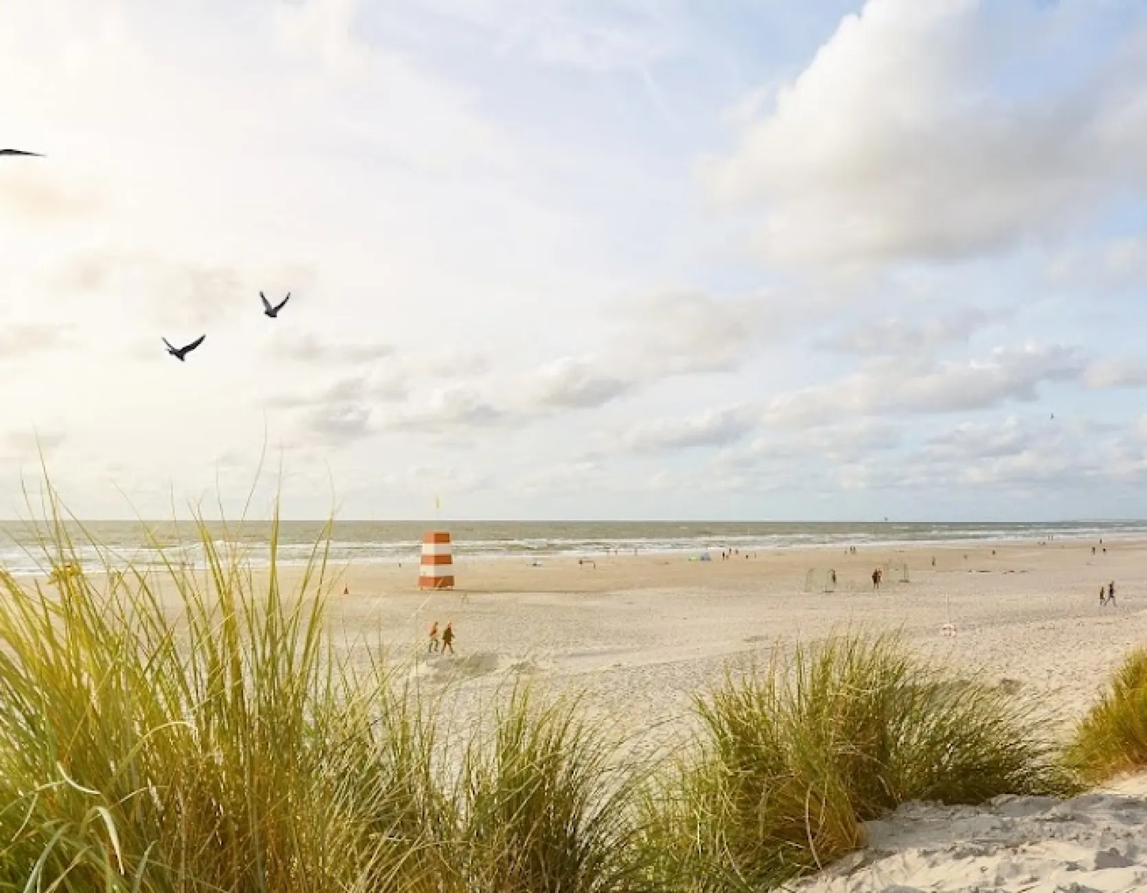 Een strand in Koksijde