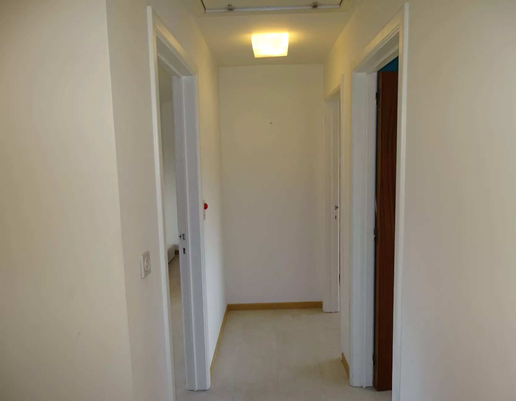 Handelsruimte met tuin en appartement