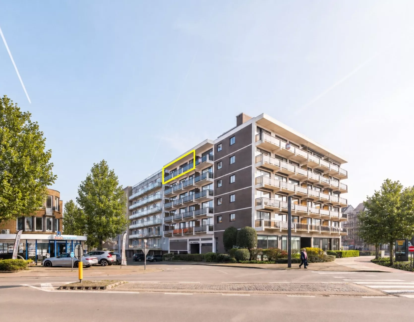 Zandroos I 05.01 Koksijde